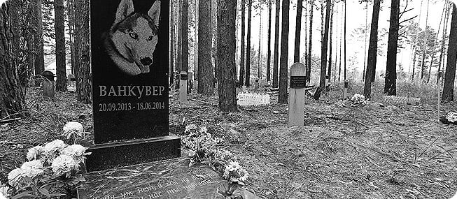 Когда погиб друг. Когда погиб друг.
